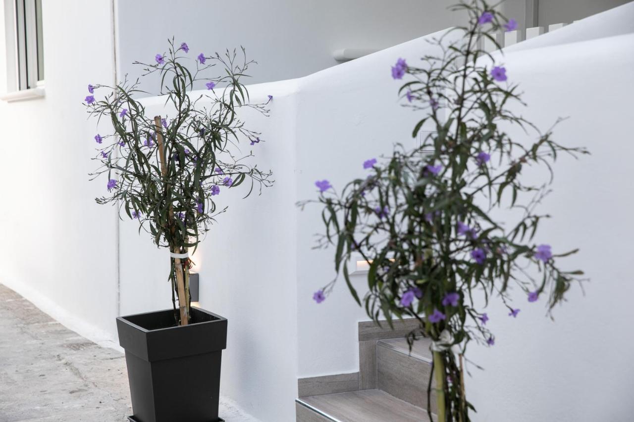 Anemela Studio Basic Naxos City Luaran gambar